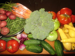 fresh vegetables from the farmer's market