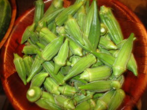 Fresh okra for cajun gumbo. 