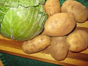 cabbage and potatoes for traditional Irish colcannon