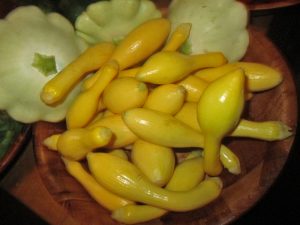 yellow squash and patty pan squash