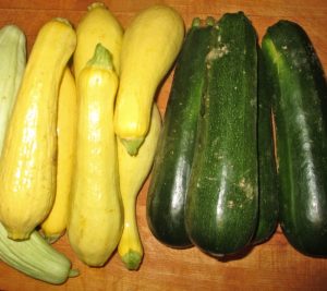 yellow squash and green summer squash