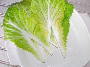 Chinese cabbage